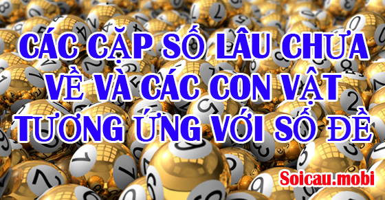 Tìm các cặp số lâu chưa về