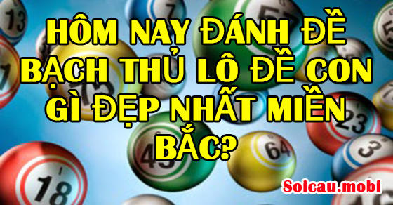Hôm nay đánh bạch thủ lô con gì chắc ăn soi cầu theo thứ