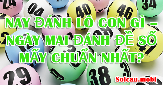 Nay đánh lô con gì – ngày mai đánh đề số mấy chuẩn nhất?