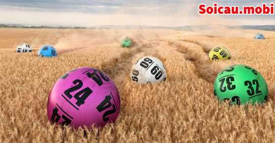 Kinh nghiệm tính lô chuẩn theo lô hình quả trám Kinh nghiệm tính lô chuẩn theo lô hình quả trám